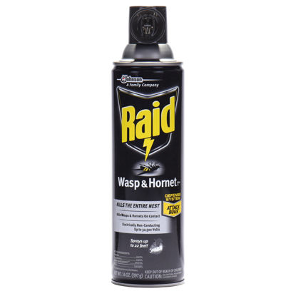 Raid 668006 Product Image 1