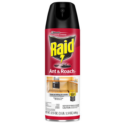 Raid 697318 Product Image 1